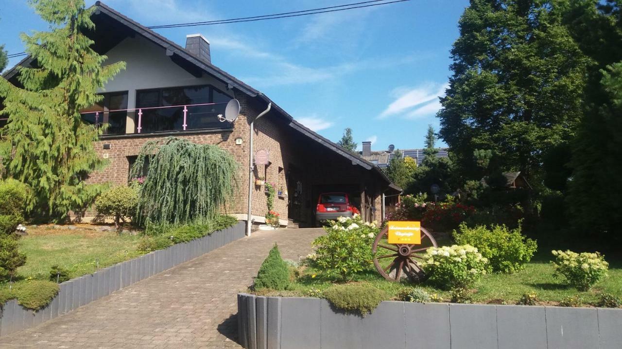 Ferienwohnung Virginija Ditscheid Eksteriør billede